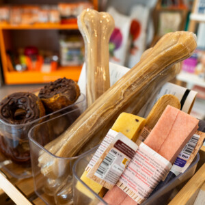 Descobreix els productes de la nostra botiga a Montmeló Veterinaris: alimentació, complements, accessoris i tot el que el teu animal necessita per a una vida saludable i feliç. Descobreix els productes de la nostra botiga a Montmeló Veterinaris: alimentació, complements, accessoris i tot el que el teu animal necessita per a una vida saludable i feliç.