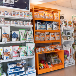 Descobreix els productes de la nostra botiga a Montmeló Veterinaris: alimentació, complements, accessoris i tot el que el teu animal necessita per a una vida saludable i feliç. Descobreix els productes de la nostra botiga a Montmeló Veterinaris: alimentació, complements, accessoris i tot el que el teu animal necessita per a una vida saludable i feliç.