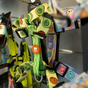 Descobreix els productes de la nostra botiga a Montmeló Veterinaris: alimentació, complements, accessoris i tot el que el teu animal necessita per a una vida saludable i feliç. Descobreix els productes de la nostra botiga a Montmeló Veterinaris: alimentació, complements, accessoris i tot el que el teu animal necessita per a una vida saludable i feliç.