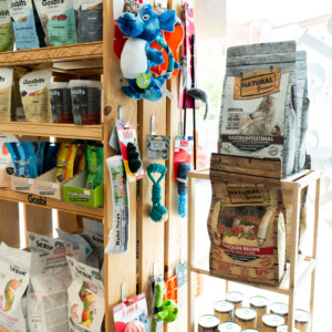 Descobreix els productes de la nostra botiga a Montmeló Veterinaris: alimentació, complements, accessoris i tot el que el teu animal necessita per a una vida saludable i feliç. Descobreix els productes de la nostra botiga a Montmeló Veterinaris: alimentació, complements, accessoris i tot el que el teu animal necessita per a una vida saludable i feliç.