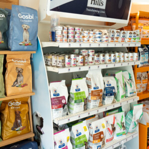 Descobreix els productes de la nostra botiga a Montmeló Veterinaris: alimentació, complements, accessoris i tot el que el teu animal necessita per a una vida saludable i feliç. Descobreix els productes de la nostra botiga a Montmeló Veterinaris: alimentació, complements, accessoris i tot el que el teu animal necessita per a una vida saludable i feliç.