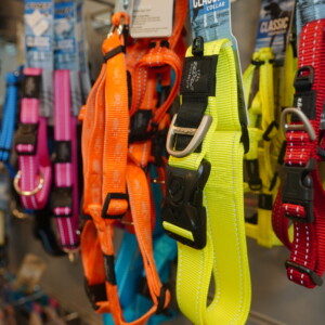 A Montmeló Veterinaris trobarás alimentació per a gossos i gats, complements, accesoris, joguines i una gran varietat de productes pel teu pelut. A Montmeló Veterinaris trobarás alimentació per a gossos i gats, complements, accesoris, joguines i una gran varietat de productes pel teu pelut.