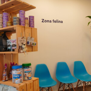 Descobreix les instal·lacions de Montmeló Veterinaris, el lloc perfecte per al teu amic de quatre potes. Especialistes en veterinària canina i felina, sempre aquí per ajudar-te. Descobreix les instal·lacions de Montmeló Veterinaris, el lloc perfecte per al teu amic de quatre potes. Especialistes en veterinària canina i felina, sempre aquí per ajudar-te.