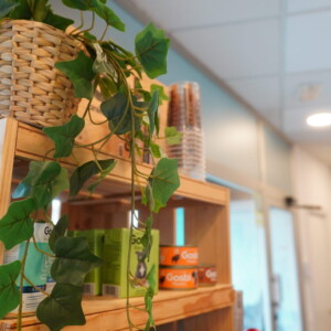 Vine a conèixer les instal·lacions de Montmeló Veterinaris, el millor centre veterinari al Vallès. Tenim tot el que el teu animal necessita, amb professionals dedicats a la seva salut. Vine a conèixer les instal·lacions de Montmeló Veterinaris, el millor centre veterinari al Vallès. Tenim tot el que el teu animal necessita, amb professionals dedicats a la seva salut.