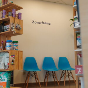 Coneix les completíssimes instal·lacions de Montmeló Veterinaris, el teu centre de confiança per a la salut del teu gos o gat. Especialitzats en veterinària canina i felina, sempre preparats per atendre les necessitats dels teus animals. Coneix les completíssimes instal·lacions de Montmeló Veterinaris, el teu centre de confiança per a la salut del teu gos o gat. Especialitzats en veterinària canina i felina, sempre preparats per atendre les necessitats dels teus animals.