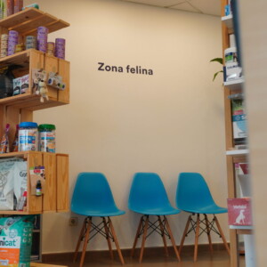 Coneix les completíssimes instal·lacions de Montmeló Veterinaris, el teu centre de confiança per a la salut del teu gos o gat. Especialitzats en veterinària canina i felina, sempre preparats per atendre les necessitats dels teus animals. Coneix les completíssimes instal·lacions de Montmeló Veterinaris, el teu centre de confiança per a la salut del teu gos o gat. Especialitzats en veterinària canina i felina, sempre preparats per atendre les necessitats dels teus animals.