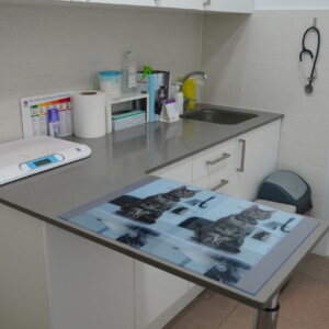 Explora les modernes instal·lacions de Montmeló Veterinaris, on la teva mascota rebrà la millor atenció possible. Comptem amb experts en veterinària canina i felina, per garantir la seva salut i benestar. Explora les modernes instal·lacions de Montmeló Veterinaris, on la teva mascota rebrà la millor atenció possible. Comptem amb experts en veterinària canina i felina, per garantir la seva salut i benestar.