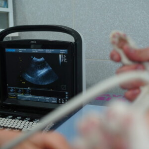 Vine a descobrir les excel·lents instal·lacions de Montmeló Veterinaris, el teu aliadat en la salut dels teus amics peluts. Especialistes en veterinària canina i felina, sempre a la teva disposició. Vine a descobrir les excel·lents instal·lacions de Montmeló Veterinaris, el teu aliadat en la salut dels teus amics peluts. Especialistes en veterinària canina i felina, sempre a la teva disposició.