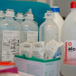 Vine a conèixer les instal·lacions de Montmeló Veterinaris, on trobaràs tot el que necessites per a la salut del teu animal de companyia. Especialistes en veterinària canina i felina, amb un equip preparat per donar-los el millor tracte. Vine a conèixer les instal·lacions de Montmeló Veterinaris, on trobaràs tot el que necessites per a la salut del teu animal de companyia. Especialistes en veterinària canina i felina, amb un equip preparat per donar-los el millor tracte.